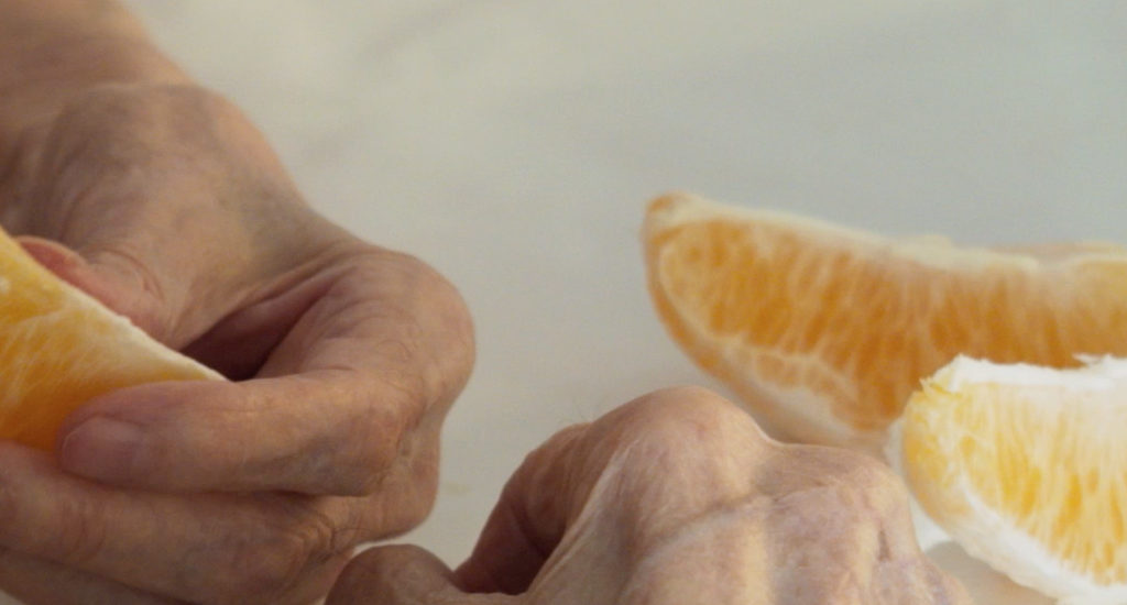 Orangers en fleur