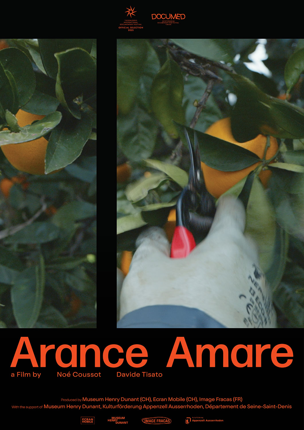 Arance Amare, un film de Davide Tisato